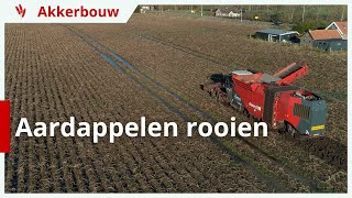 Aardappelen rooien onder natte omstandigheden [upl. by Oicanata536]