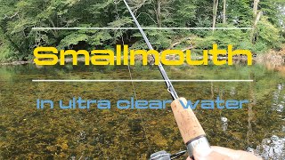 Fishing ultra clear water for smallmouth at Brandywine State Park 2024 smallmouthbass [upl. by Chainey]