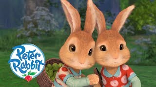 Peter Rabbit  The Revenge of Flopsy and Mopsy  Cartoons for Kids [upl. by Berfield]