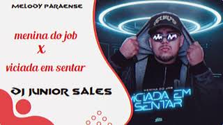 MENINA DO JOB x VICIADA EM SENTAR  DJ JUNIOR SALES 2K24 [upl. by Tolland387]