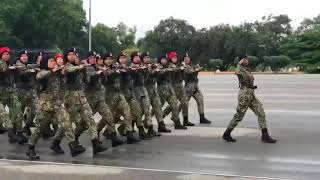 Video Viral  Anggota Pranita Tentera Darat berlatih Kawad Goose Step [upl. by Omocaig]