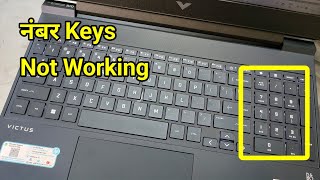 Victus Laptop Number Keys Not Working  Laptop Number Keys Not Working Windows 11 [upl. by Mauceri]