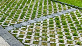 Grass Pavers nature pavers viralvideo garden home grass landscape shorts [upl. by Eesak]