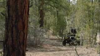 2013 CanAm Outlander MAX ATV lineup [upl. by Joshi772]