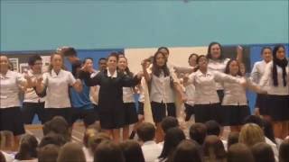 House Haka Contest 2016 Paraparaumu College [upl. by Samella]