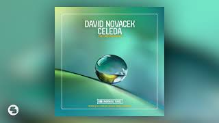 David Novacek ft Celeda The Underground Croatia Squad amp Daniel Portman Remix [upl. by Erdnaek]