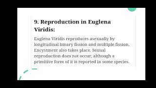 Reproduction in Euglena biology zoology reproductionineuglena [upl. by Valera693]