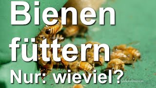 Bienen auffüttern  aber wie viel Winterfütterung  Gewichte der Beuten und Wiegen der Völker [upl. by Howenstein]