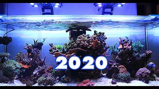 reef Aquarium update 2020 [upl. by Isborne]