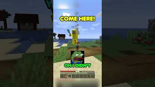 Craziest Village Chase shorts minecraft minecraftshorts [upl. by Melonie]