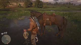 Red Dead Redemption 2 Herbalist 8 Early [upl. by Mikah]