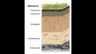 Weathering and Soil Formation [upl. by Cusack975]