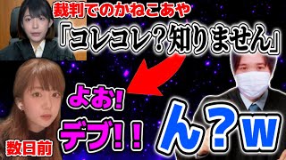 かねこあやvsてんちむ裁判が遂に終わる…現在のやばい状態のかねこあやについて語るコレコレ【20220307】 [upl. by Nyleahcim699]