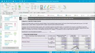 T1135 and Foreign Income Reporting [upl. by Foley]