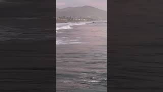 Cayucos pier jump surfsup surf pacific jump waves [upl. by Aay]