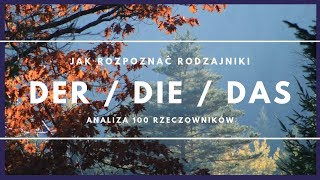 100 rzeczowników Analiza rodzajnikow DER DIE czy DAS wwwmartindesimmonspl [upl. by Olwena]