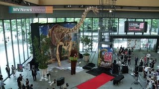 「メガ恐竜展2015 －巨大化の謎に迫る－」プロモーションイベント トゥリアサウルス復元骨格 先行公開【丸の内ビジョンMVNews】 [upl. by Ynohtnaed]