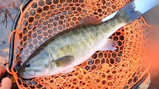 Late fall creek fishing for Shoal Bass [upl. by Amii]