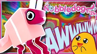 The Cutest Wobbledog Yet Wobbledogs Gameplay 24 [upl. by Skill409]