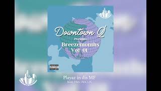 Downtown Q  Playaz in dis MF feat Hev Abi LK [upl. by Mastic]