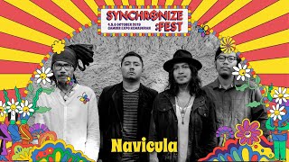 Navicula LIVE  Synchronize Fest 2019 [upl. by Thorn133]