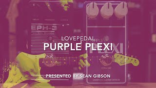 Lovepedal  Purple Plexi 2016 with Hermida Audio USA EPH3 [upl. by Gausman]