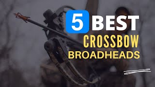 ⭕ Top 5 Best Crossbow Broadheads 20232024 Review and Guide [upl. by Malory719]