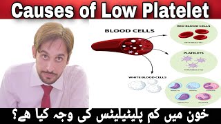 Low Platelet Causes  Thrombocytopenia Causes [upl. by Richter]