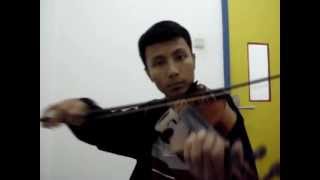 The Corrs  The Minstrel Boy Violin Cover [upl. by Naie]