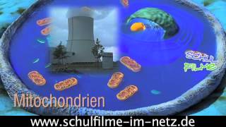 Die Zelle  Schulfilm Biologie [upl. by Addia234]