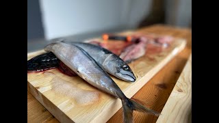 Sløye og filetere fisk [upl. by Aron744]