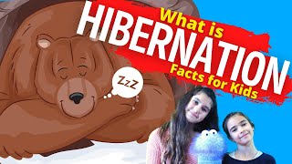 What is Hibernation  Hibernation For Kids [upl. by Marabelle]