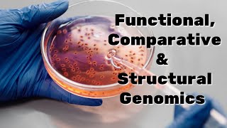 Functional Comparative amp Structural Genomics Explained Genomics amp Proteomics [upl. by Onailimixam275]