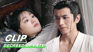 Clip Rong Er Pressed On Ting Xiao  Decreed by Fate EP03  千金难逃  iQiyi [upl. by Sawyere]