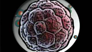 Stem Cell Basics Educational cartoon for young learners [upl. by Doble]