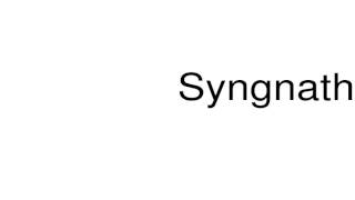 How to pronounce Syngnathus [upl. by Ahsin]