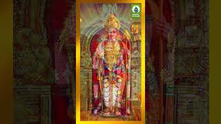 கந்தனுக்கு அரோகரா  Lord 🙏 Murugan Song HD Video  Murugan Song  shorts murugan godsongs [upl. by Annalise]