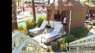 Delano Beach Club Cabanas  Madalay Bay Las Vegas 2017 [upl. by Pavier337]