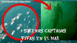 Sirenas Captadas En Vivo En El 2016 [upl. by Ferri]