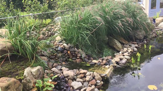 Vijver in de tuin met natuurlijke zuivering [upl. by Adnirim]