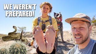 We Hiked 6 MILES in Rattlesnake CountryBAREFOOT [upl. by Ja352]