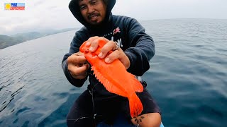 SOBRANG GANDA NG KULAY NG MGA LAPULAPU  FISHING  MINDORO PHILIPPINES [upl. by Kermie]