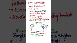 Mycorrhiza as BiofertilisersMycorrhizal associationMycorrhiza FungiRole of Mycorrhiza biology [upl. by Wenoa]