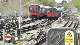 1160235 Rayners Lane 2 April 2024 [upl. by Zusman958]