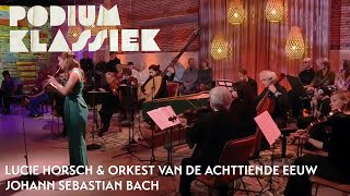 Lucie Horsch amp Orkest van de Achttiende Eeuw  Bach  Klavecimbelconcert BWV 1053  Podium Klassiek [upl. by Araccat78]