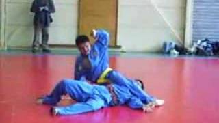 Vovinam VietVoDao [upl. by Gillman531]