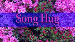 Song Hug Draft  Lyric Video [upl. by Sunday]