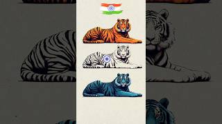 Tiger 🐯 Art 🇮🇳 Indian Flag art 🇮🇳 Independence day special art art shorts short tiger [upl. by Malena]