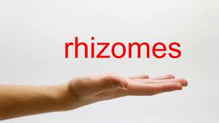 How to Pronounce rhizomes  American English [upl. by Lazar]