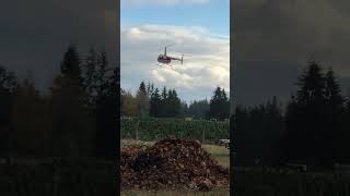 Robinson R44 Flying Christmas Trees 2024 Video 3 [upl. by Gittel]